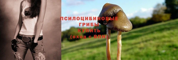 мескалин Армянск
